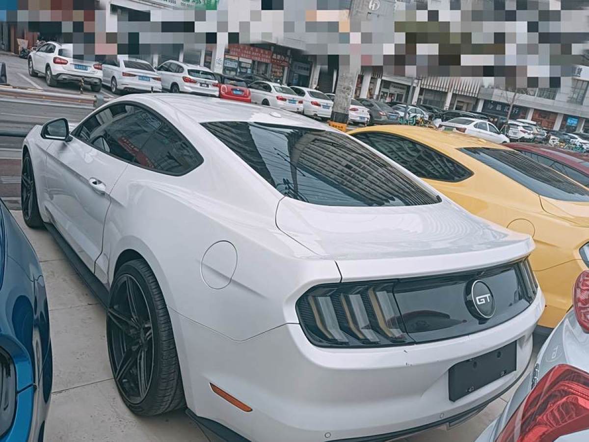 福特 Mustang  2015款 2.3T 性能版圖片