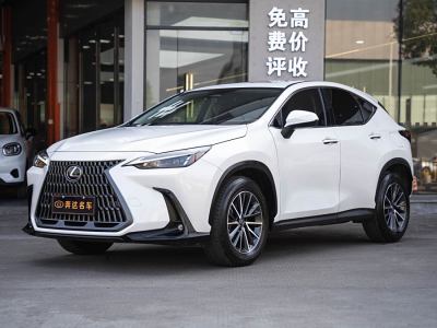 2022年9月 雷克薩斯 NX 260 前驅(qū) 創(chuàng)悅版圖片