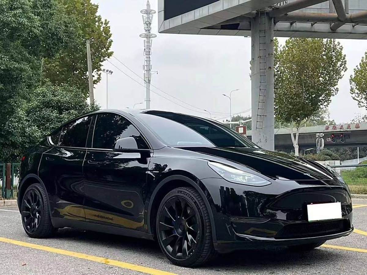 特斯拉 Model Y  2022款 改款 長續(xù)航全輪驅動版圖片