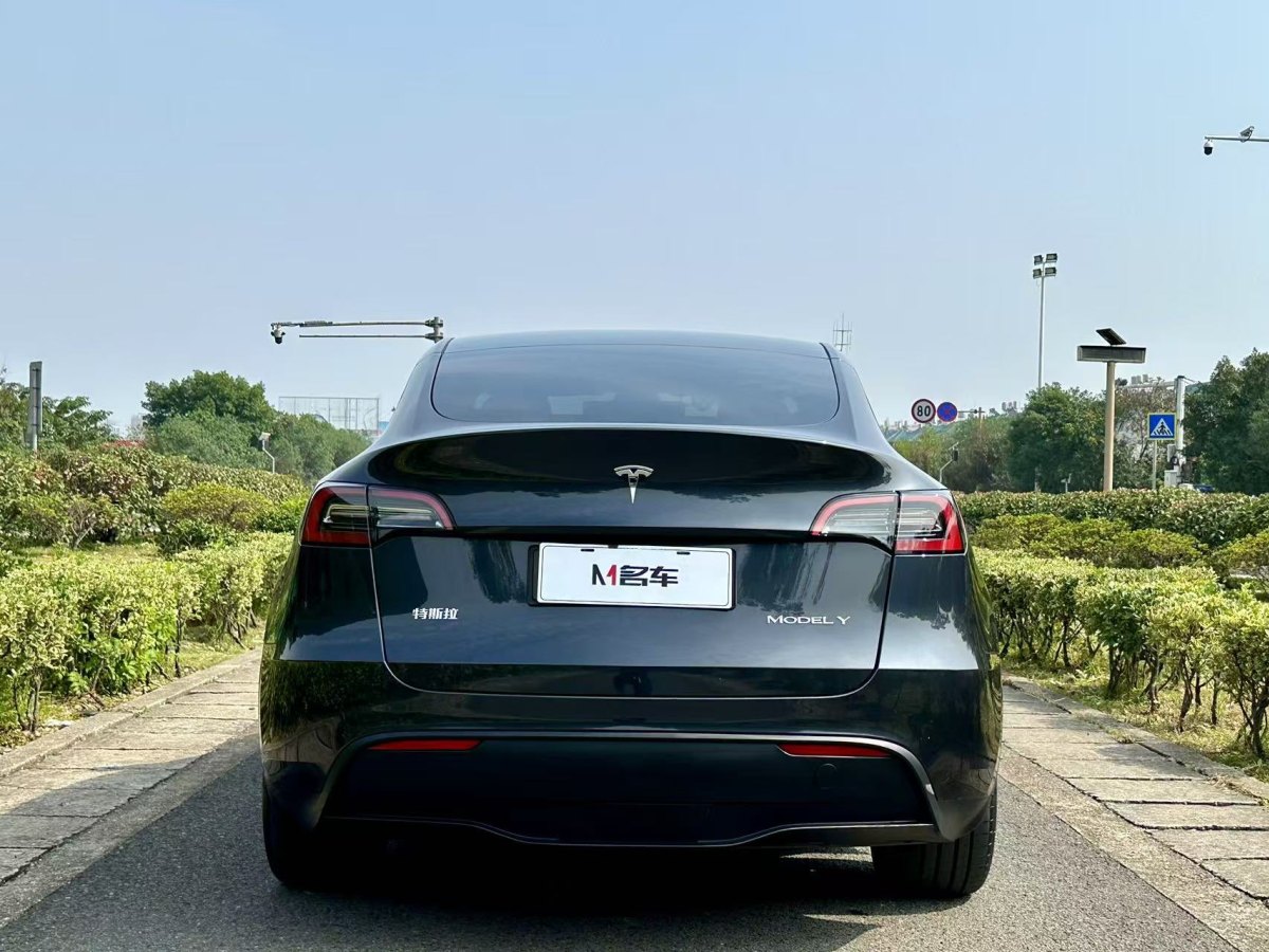 特斯拉 Model Y  2020款 改款 長續(xù)航后輪驅(qū)動版圖片