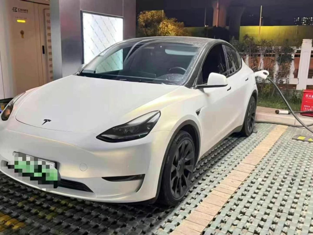特斯拉 Model Y  2022款 后驅(qū)版圖片