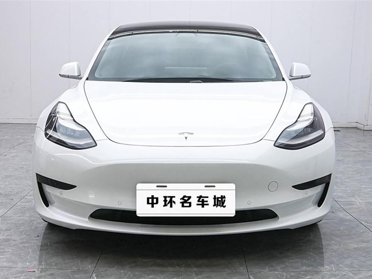 特斯拉 Model 3  2020款 改款 標(biāo)準續(xù)航后驅(qū)升級版圖片