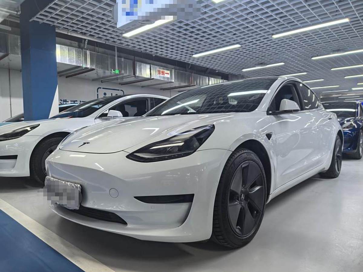 2021年6月特斯拉 Model 3  2021款 改款 標(biāo)準(zhǔn)續(xù)航后驅(qū)升級(jí)版