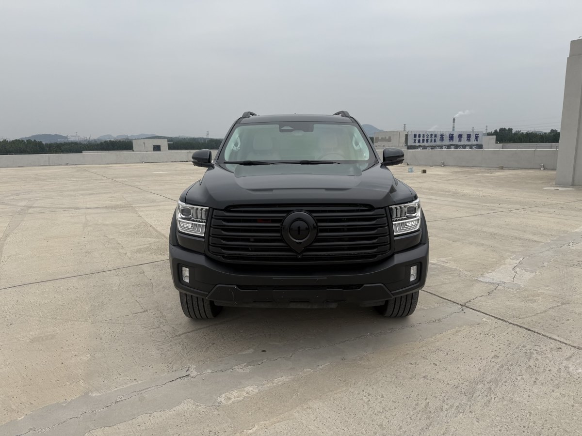 長(zhǎng)城 山海炮  2022款 2023款 3.0T V6 汽油極境版圖片