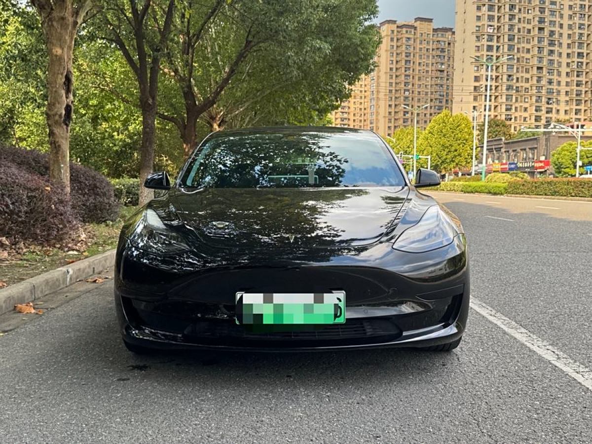 特斯拉 Model Y  2021款 改款 標(biāo)準(zhǔn)續(xù)航后驅(qū)升級(jí)版圖片