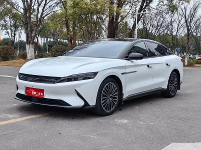 2023年03月 比亞迪 漢 EV 標(biāo)準(zhǔn)續(xù)航版豪華型圖片