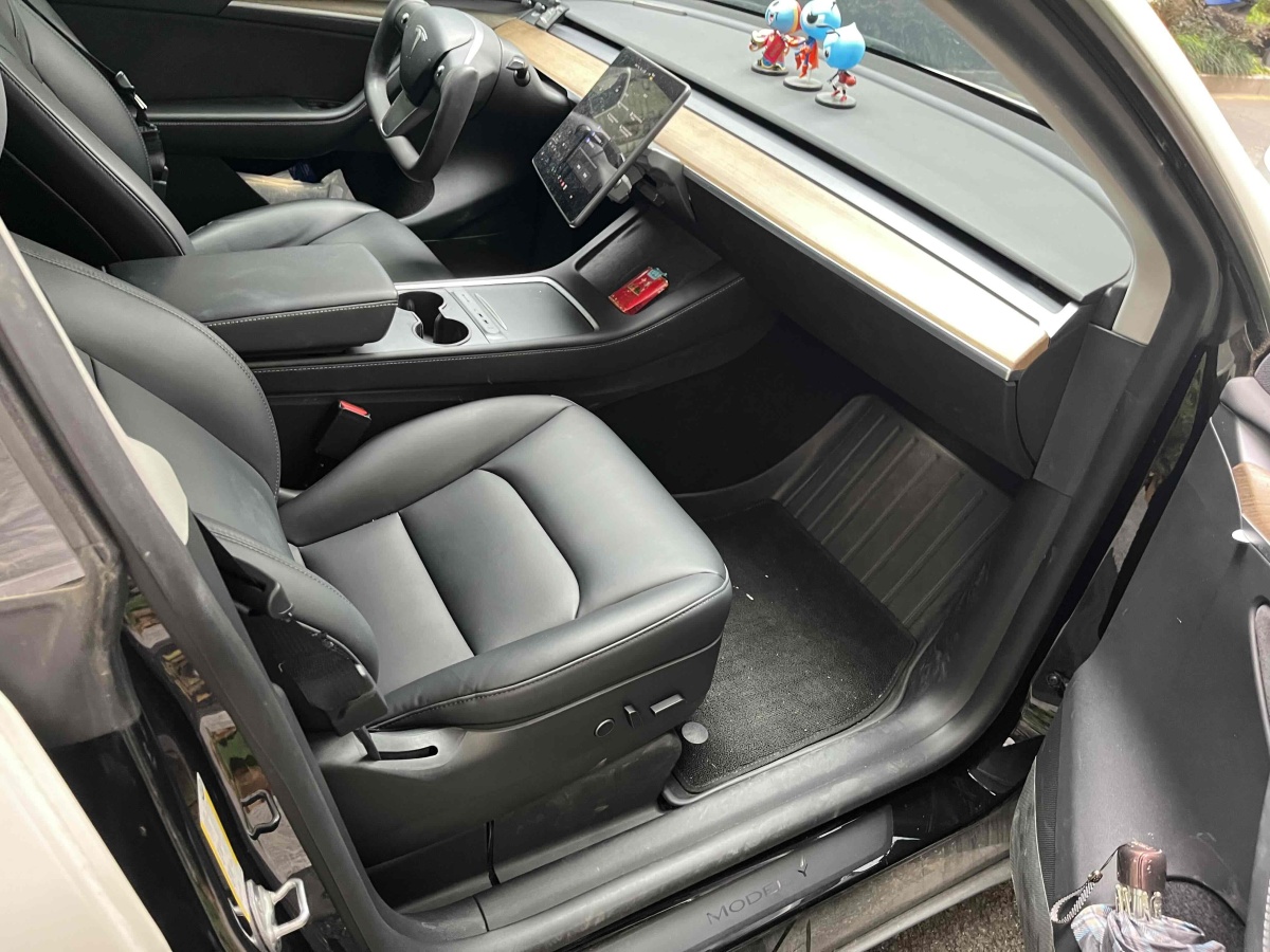 特斯拉 Model Y  2021款 長續(xù)航全輪驅(qū)動版 3D7圖片