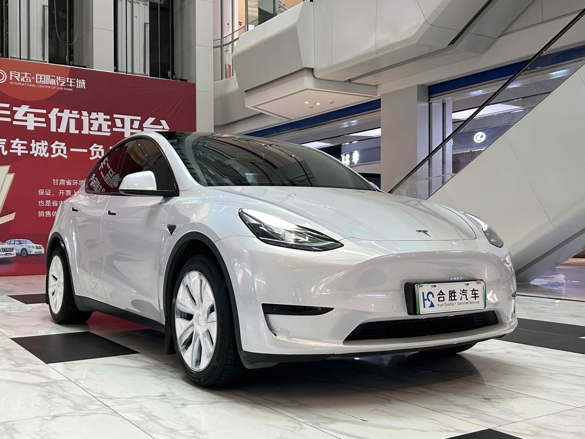 特斯拉 Model Y  2020款 改款 長續(xù)航后輪驅(qū)動版圖片