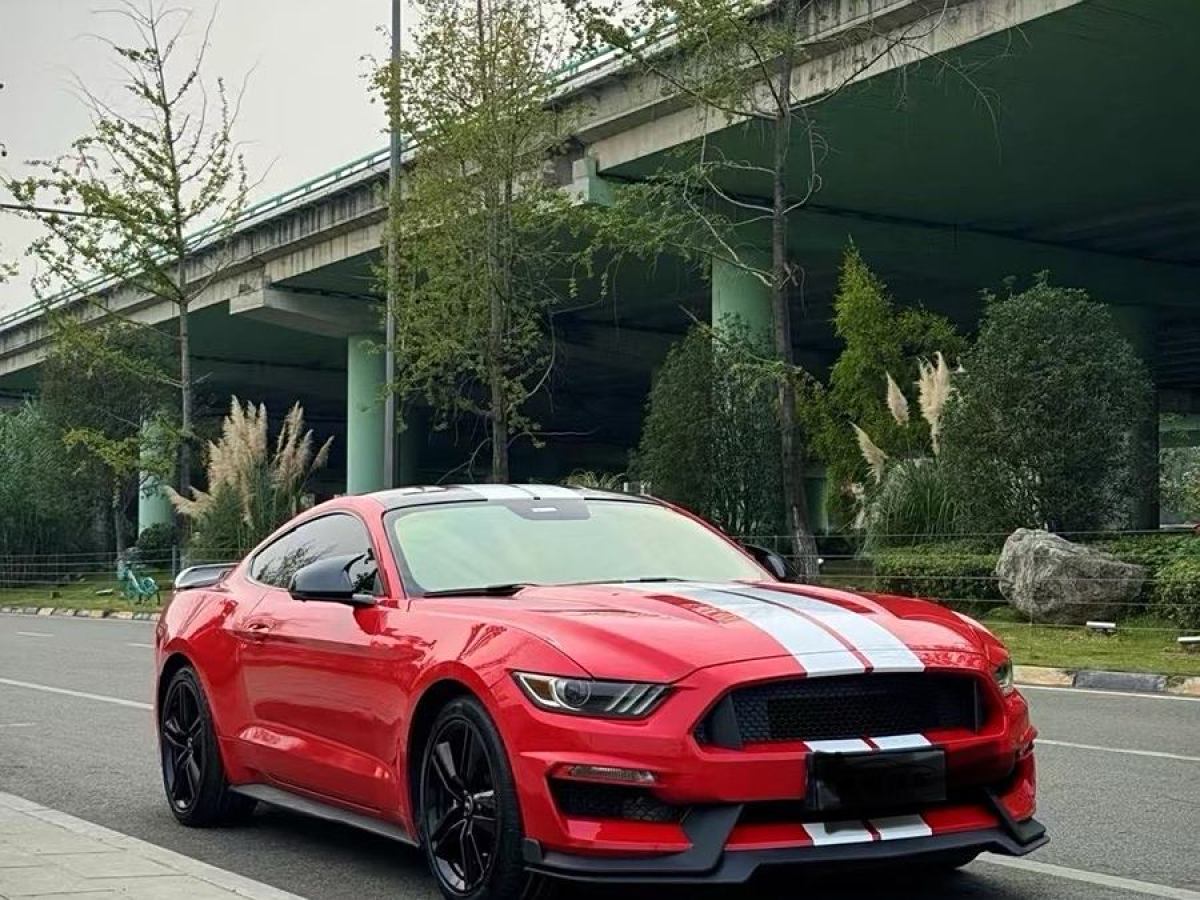 福特 Mustang  2015款 2.3T 性能版圖片