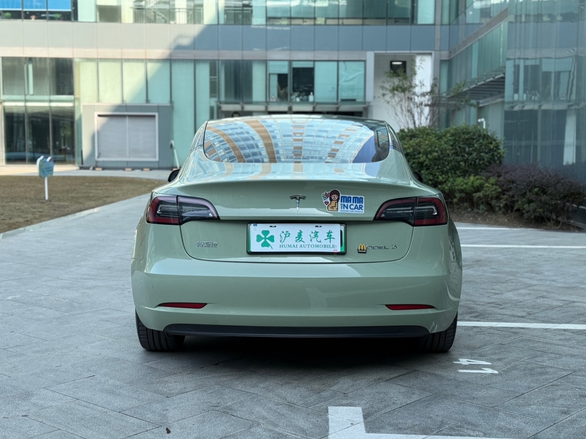 特斯拉 Model 3  2019款 標(biāo)準(zhǔn)續(xù)航后驅(qū)升級(jí)版圖片