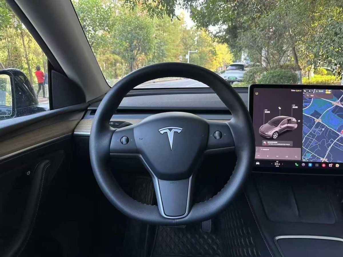 特斯拉 Model Y  2022款 Performance高性能全輪驅(qū)動(dòng)版圖片