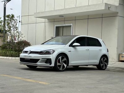 2019年3月 大眾 高爾夫 2.0TSI GTI圖片