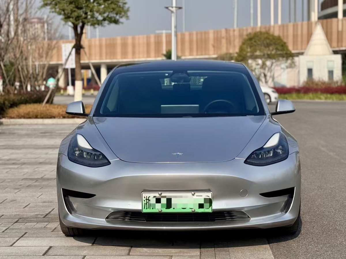 特斯拉 Model 3  2019款 標(biāo)準(zhǔn)續(xù)航后驅(qū)升級版圖片