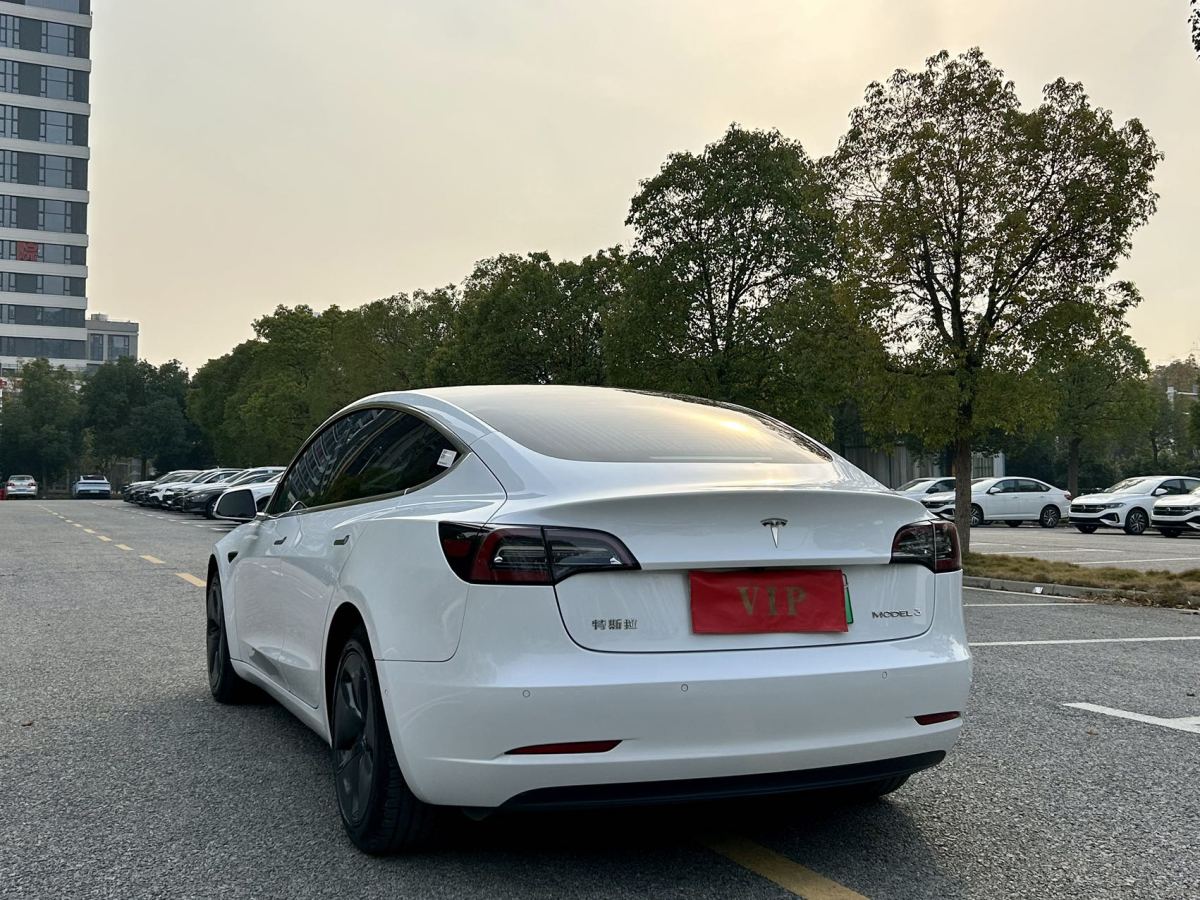 特斯拉 Model 3  2019款 標(biāo)準(zhǔn)續(xù)航后驅(qū)升級(jí)版圖片