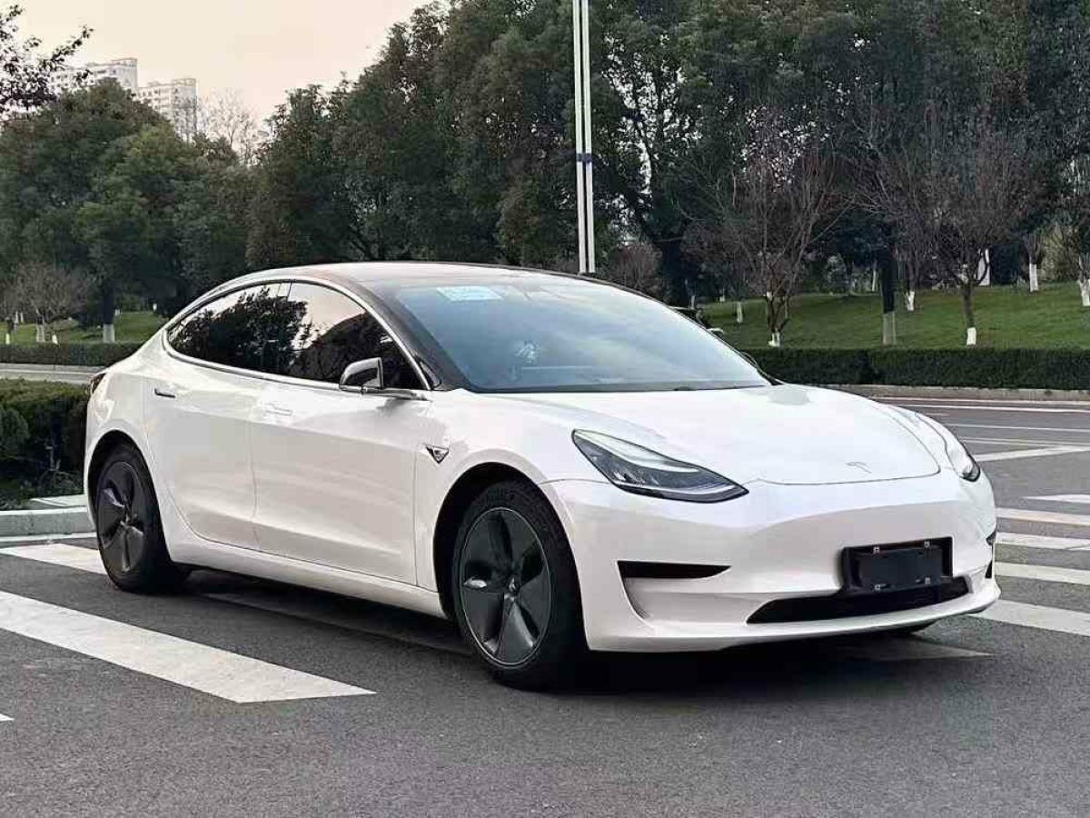 特斯拉 Model X  2020款 Performance 高性能版圖片