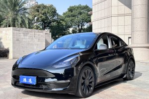 Model 3 特斯拉 改款 Performance高性能全轮驱动版