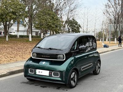 2021年11月 寶駿 寶駿KiWi EV 藝術(shù)家 三元鋰圖片