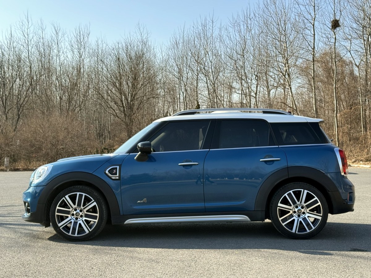 MINI COUNTRYMAN  2019款 2.0T COOPER S ALL4 藝術(shù)家圖片