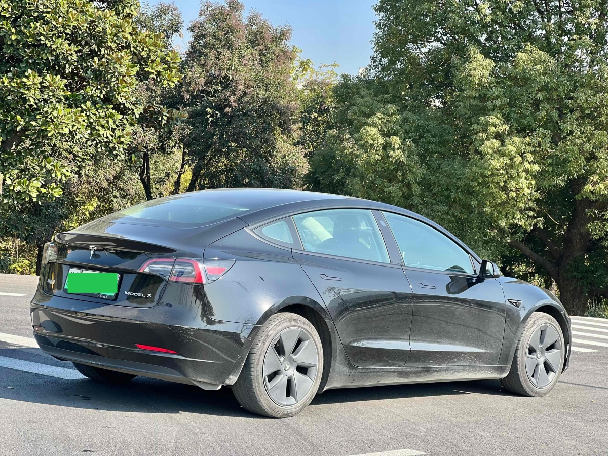 特斯拉 Model 3  2019款 標(biāo)準(zhǔn)續(xù)航后驅(qū)升級版圖片