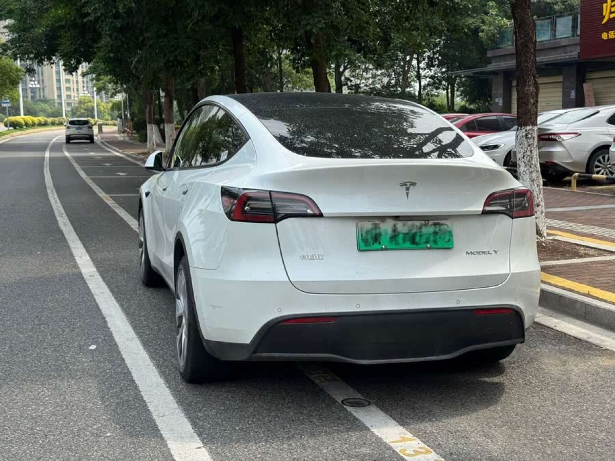 特斯拉 Model Y  2021款 標(biāo)準(zhǔn)續(xù)航后驅(qū)版圖片