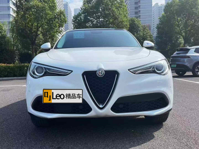 2019年6月 阿爾法·羅密歐 Stelvio 2.0T 200HP 精英版圖片