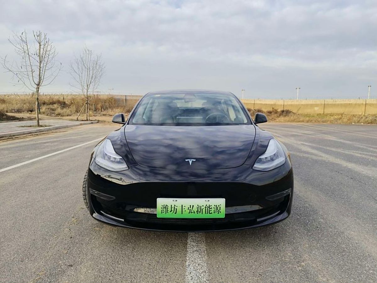 特斯拉 Model 3  2019款 長續(xù)航后驅版圖片