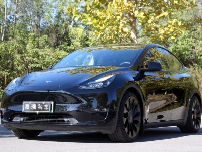 2023年5月 特斯拉 Model Y 高性能全輪驅(qū)動(dòng)版圖片