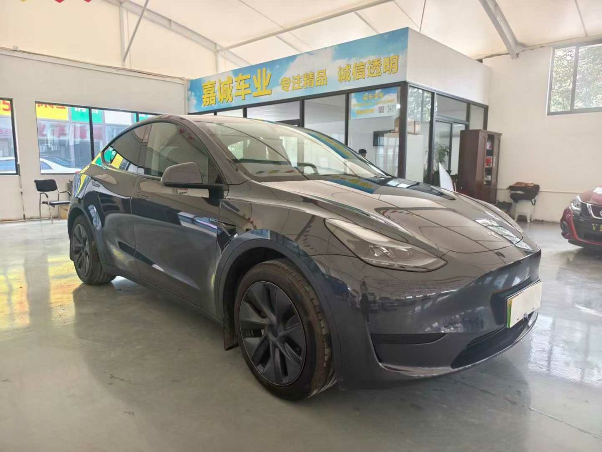 特斯拉 Model Y  2024款 Performance高性能版圖片