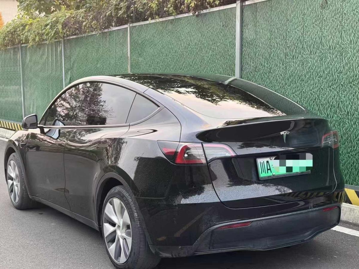 特斯拉 Model 3  2022款 Performance高性能全輪驅(qū)動版圖片