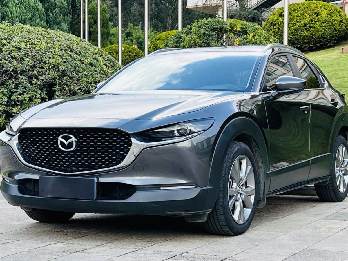 2020年7月馬自達(dá) CX-30  2020款 2.0L 自動(dòng)嘉悅型