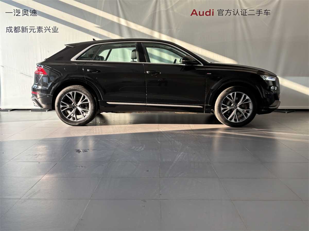 2022年10月奧迪 奧迪Q8  2022款 55 TFSI 豪華動感型