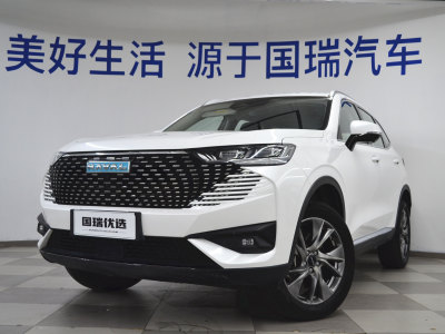 2022年10月 哈弗 哈弗H6新能源 DHT-PHEV 110KM 悅行版圖片