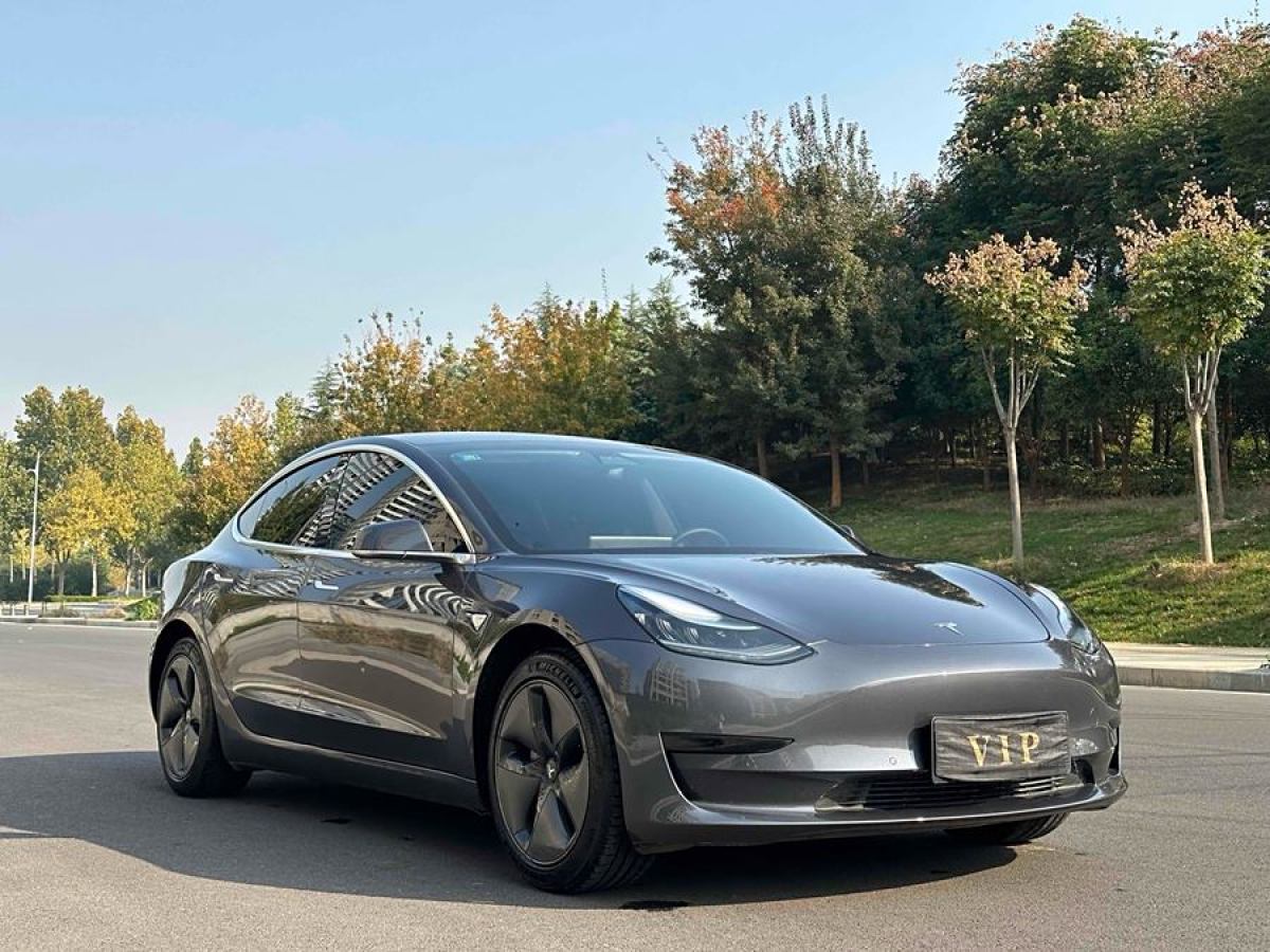 2020年2月特斯拉 Model 3  2019款 標(biāo)準(zhǔn)續(xù)航后驅(qū)升級版