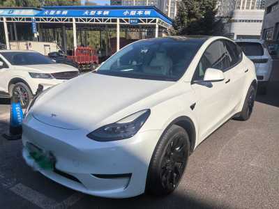 2021年5月 特斯拉 Model Y 長續(xù)航煥新版 雙電機(jī)全輪驅(qū)動圖片