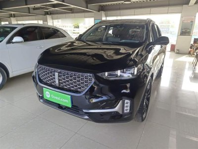 2021年6月 WEY VV6 2.0T 兩驅(qū)智享+圖片