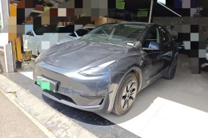 Model Y 特斯拉 后輪驅(qū)動版