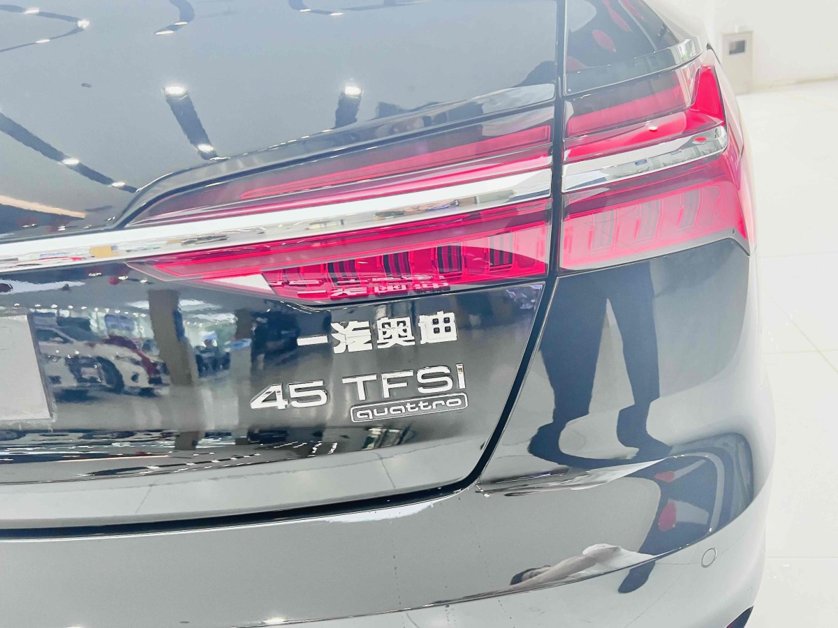 奥迪 奥迪A6L  2019款 45 TFSI quattro 臻选致雅型图片