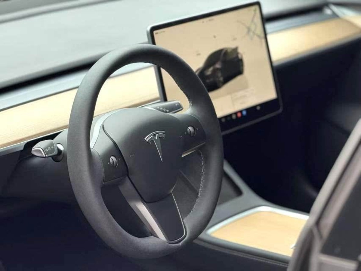 特斯拉 Model 3  2022款 后輪驅(qū)動(dòng)版圖片