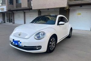 甲殼蟲 大眾 2.0TSI 頂配型
