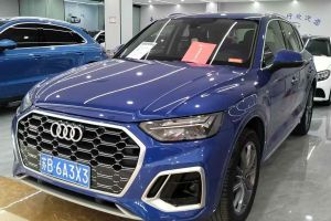 奧迪Q5 e-tron 奧迪 40 e-tron 星耀型 機甲套裝