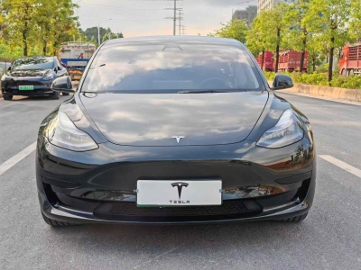 2020年1月 特斯拉 Model 3 標(biāo)準(zhǔn)續(xù)航后驅(qū)升級(jí)版圖片