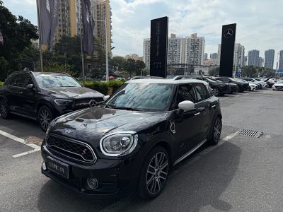 2019年12月 MINI COUNTRYMAN 2.0T COOPER S ALL4 藝術(shù)家圖片