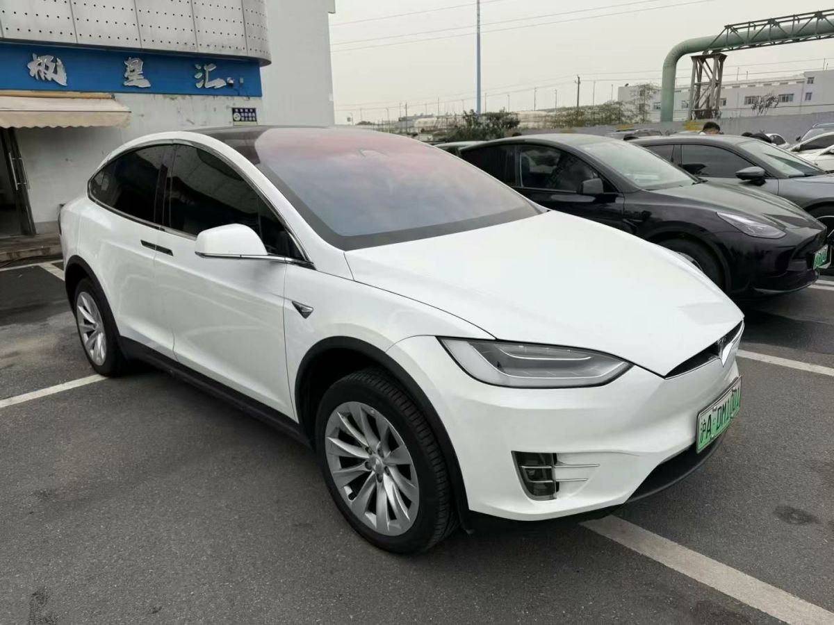 特斯拉 Model X  2020款 Performance 高性能版圖片