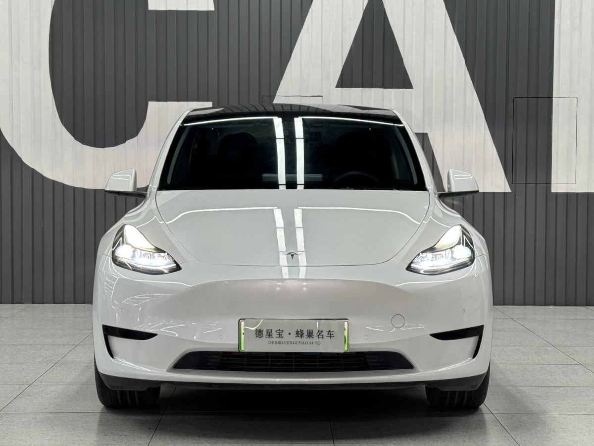 特斯拉 Model 3  2022款 后輪驅(qū)動版圖片