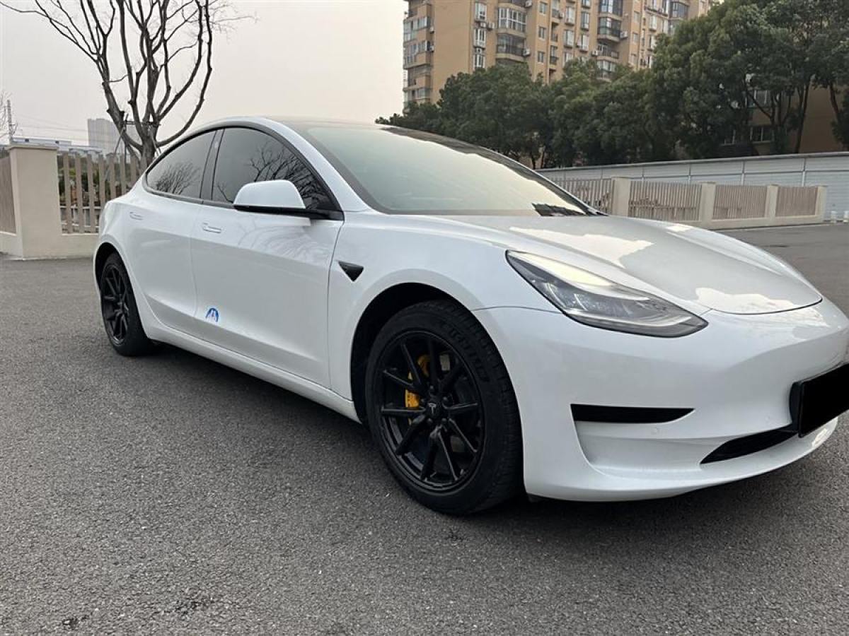 特斯拉 Model Y  2020款 改款 標準續(xù)航后驅升級版圖片