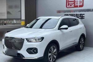 H6 哈弗 國(guó)潮版 1.5T 自動(dòng)冠軍版