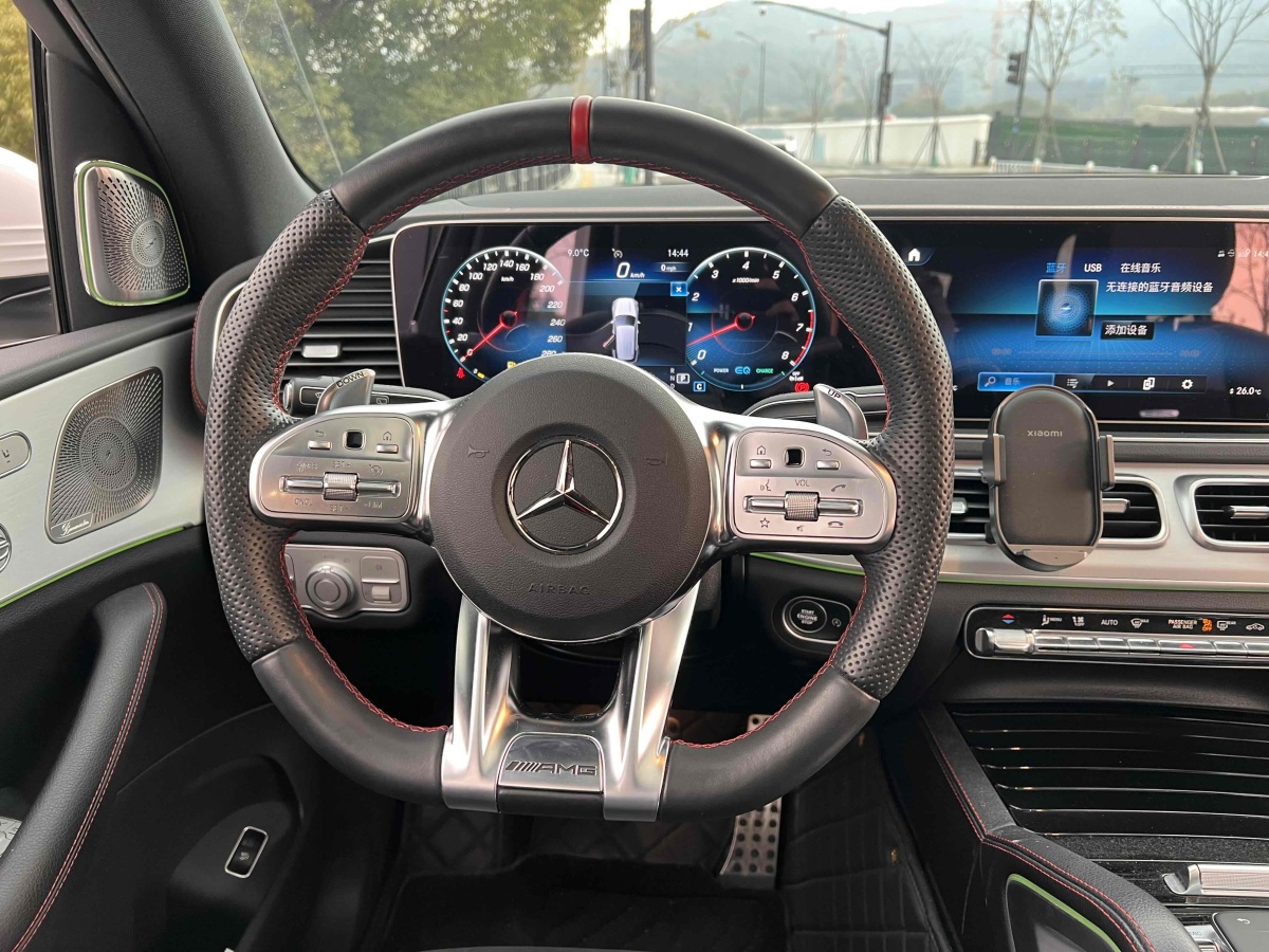 奔馳 奔馳GLE AMG  2020款 AMG GLE 53 4MATIC+圖片