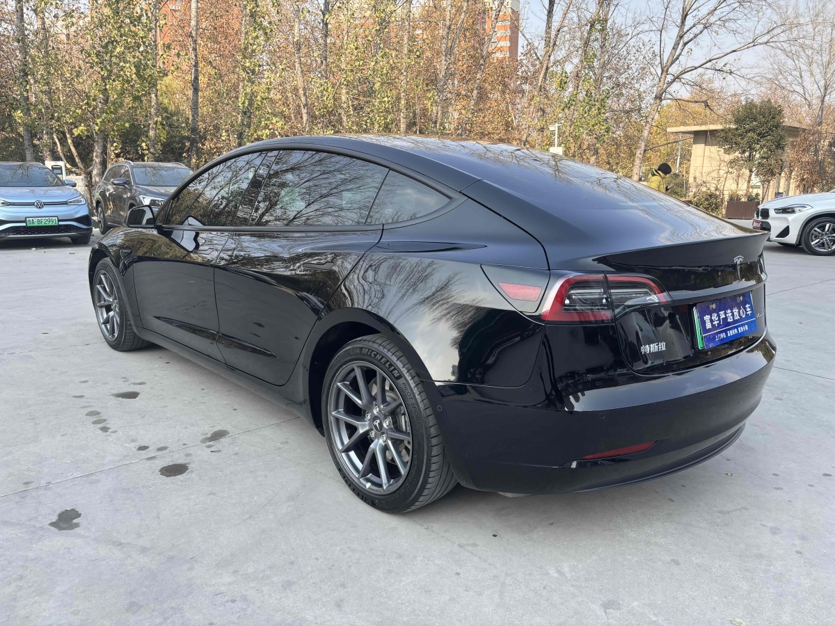 特斯拉 Model 3  2021款 標(biāo)準(zhǔn)續(xù)航后驅(qū)升級版 3D6圖片