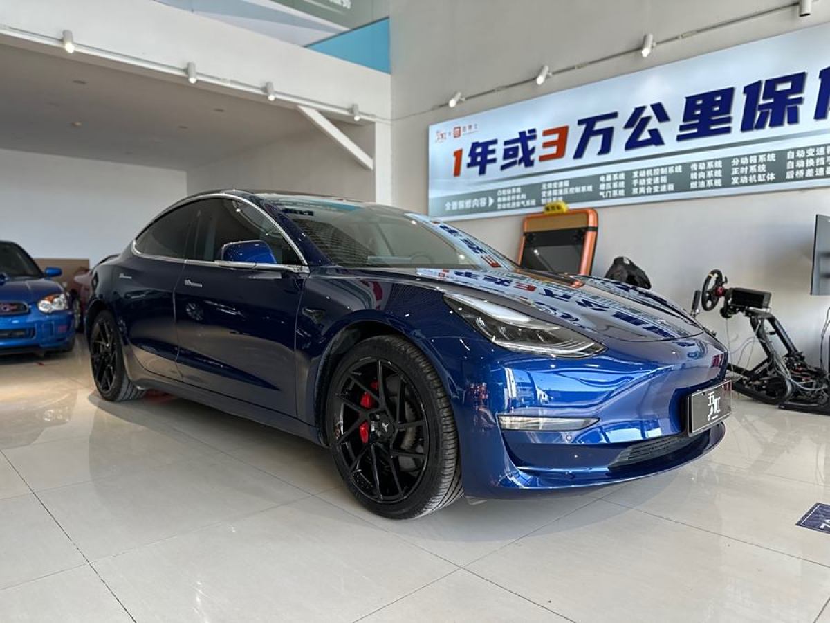 特斯拉 Model 3  2019款 Performance高性能全輪驅(qū)動版圖片