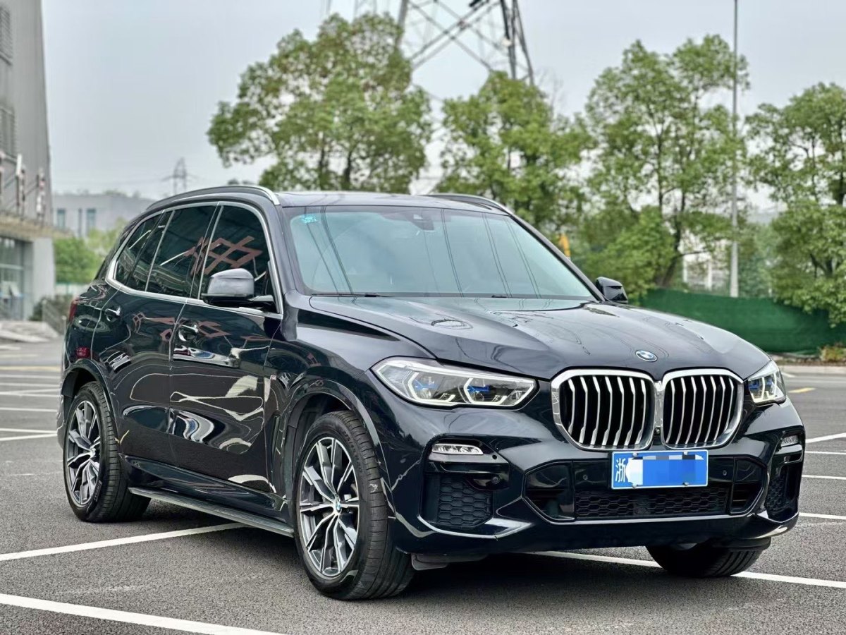 寶馬 寶馬X5  2020款 xDrive40i M運(yùn)動(dòng)套裝圖片